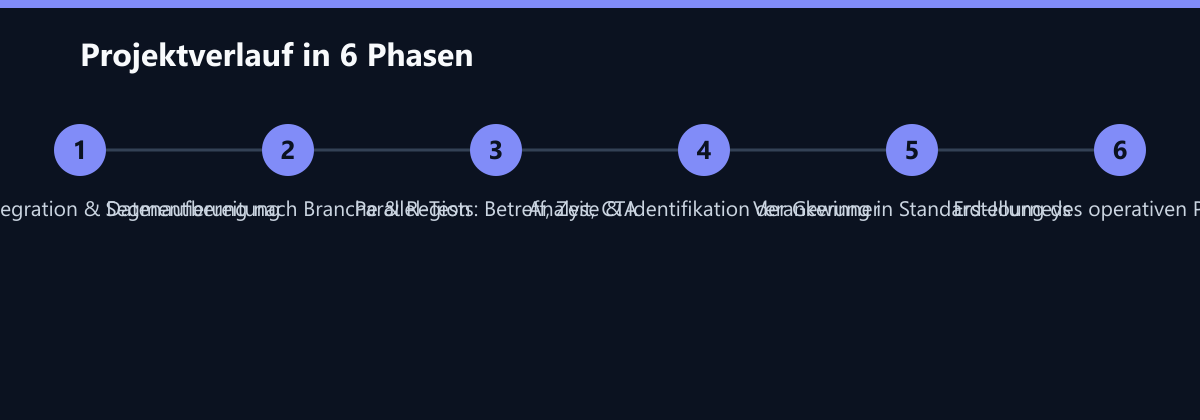 Projektverlauf in 6 Phasen: CRM-ERP-Integration & Datenaufbereitung, Segmentierung nach Branche & Region, Parallel-Tests: Betreff, Zeit, CTA …