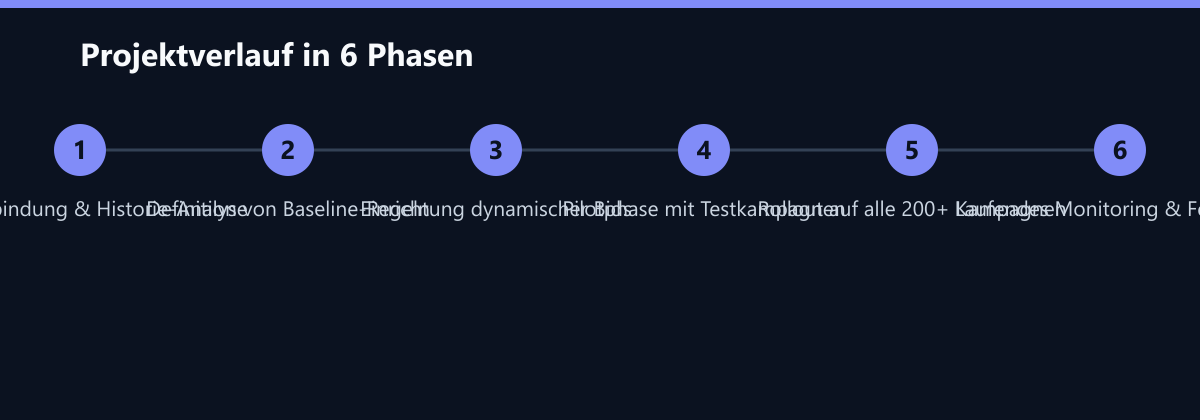 Projektverlauf in 6 Phasen: Datenanbindung & Historie-Analyse, Definition von Baseline-Regeln, Einrichtung dynamischer Bids …