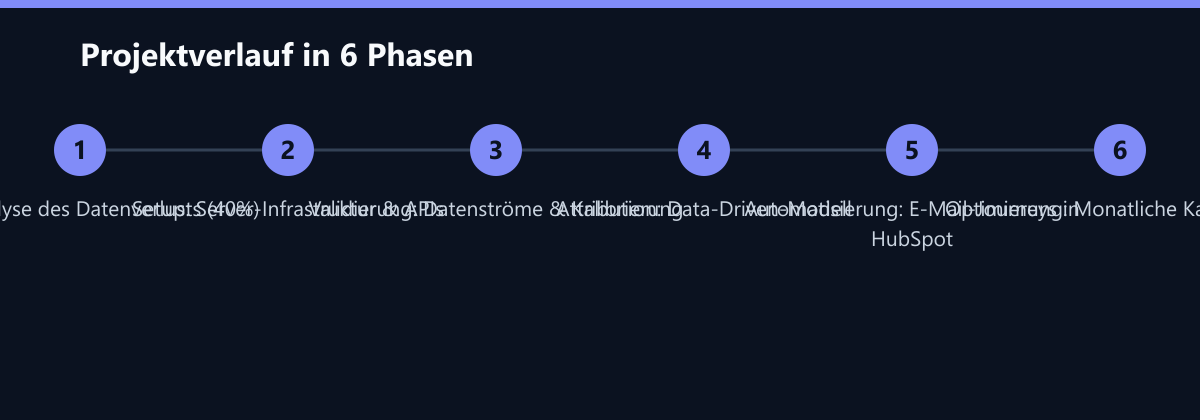 Projektverlauf in 6 Phasen: Audit: Analyse des Datenverlusts (40%), Setup: Server-Infrastruktur & APIs, Validierung: Datenströme & Kalibrierung …
