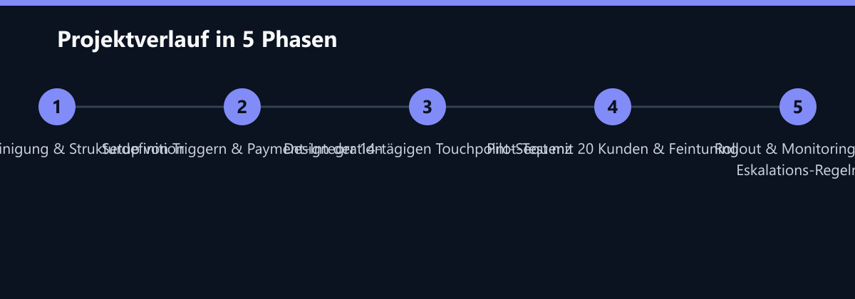 Projektverlauf in 5 Phasen: Datenbereinigung & Strukturdefinition, Setup von Triggern & Payment-Integration, Design der 14-tägigen Touchpoint-Sequenz …